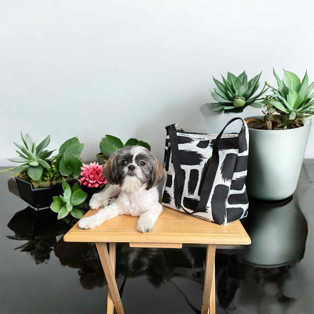 Meet your Posher, Maria